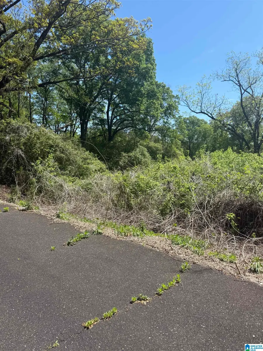 5027 RAILROAD AVENUE, Irondale, AL 35210 - #2