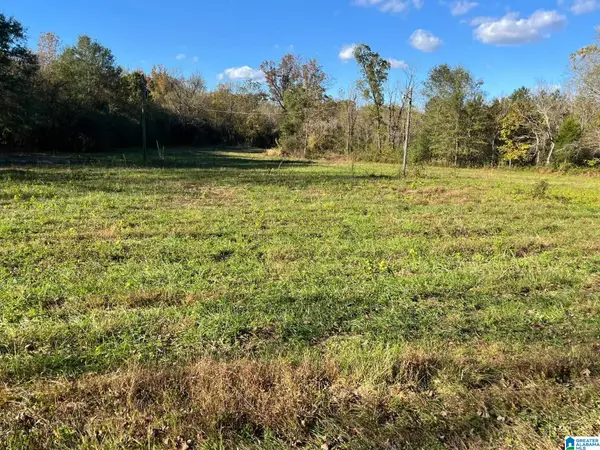 4794 BUD HOLMES ROAD, Pinson, AL 35126