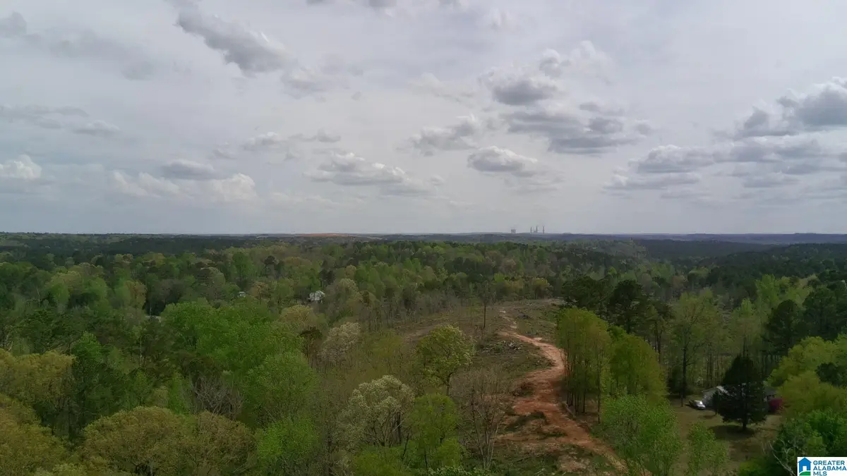 12 SELLERS HOLLOW ROAD, Dora, AL 35062 - #1