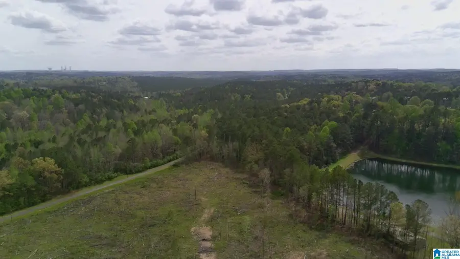12 SELLERS HOLLOW ROAD, Dora, AL 35062 - #2
