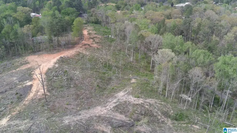 12 SELLERS HOLLOW ROAD, Dora, AL 35062 - #3