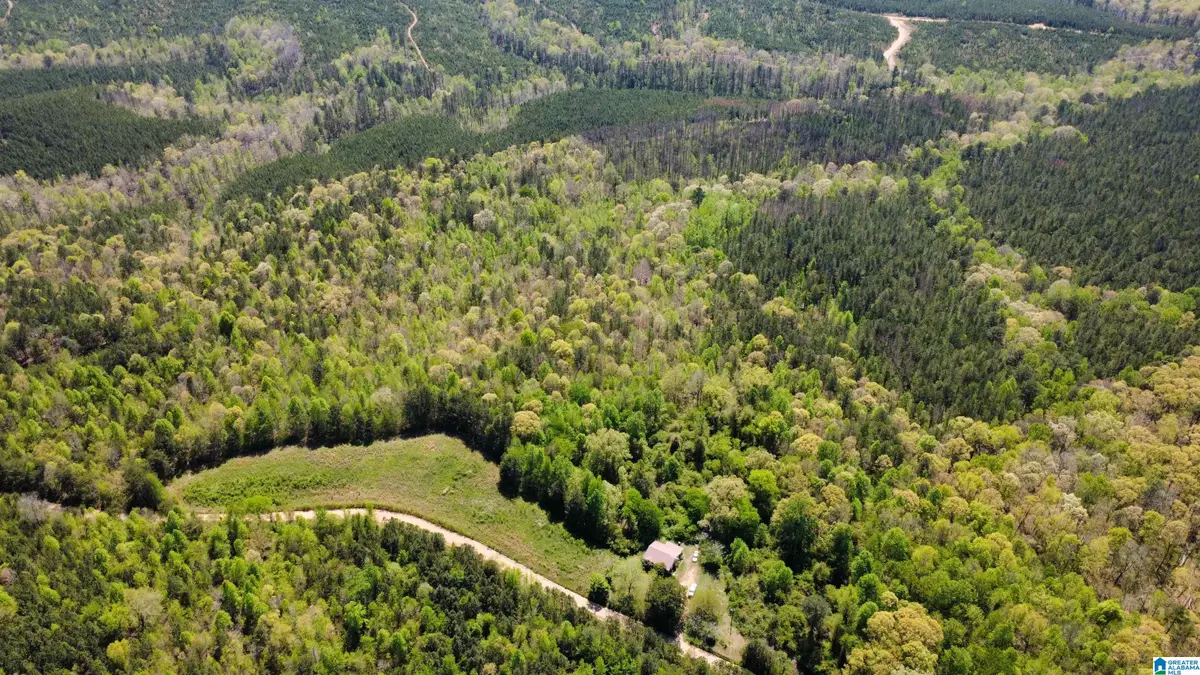 525 COUNTY ROAD 654, Muscadine, AL 36269 - #1