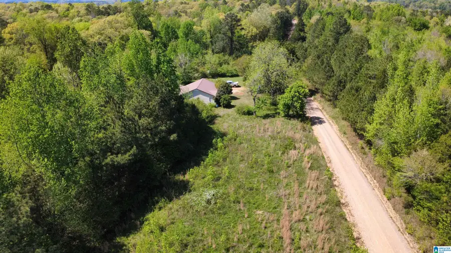 525 COUNTY ROAD 654, Muscadine, AL 36269 - #2