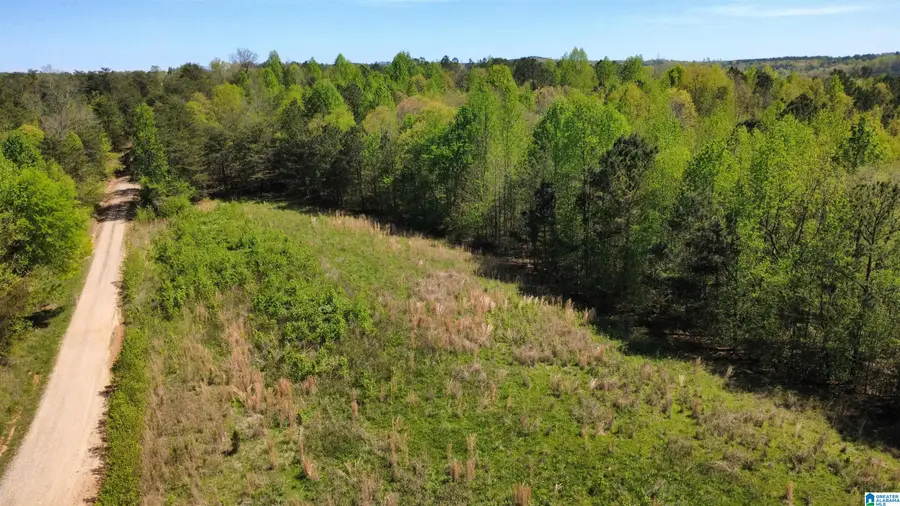 525 COUNTY ROAD 654, Muscadine, AL 36269 - #3
