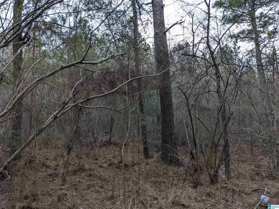 0 COUNTY ROAD 183, Haleyville, AL 35565 - #2