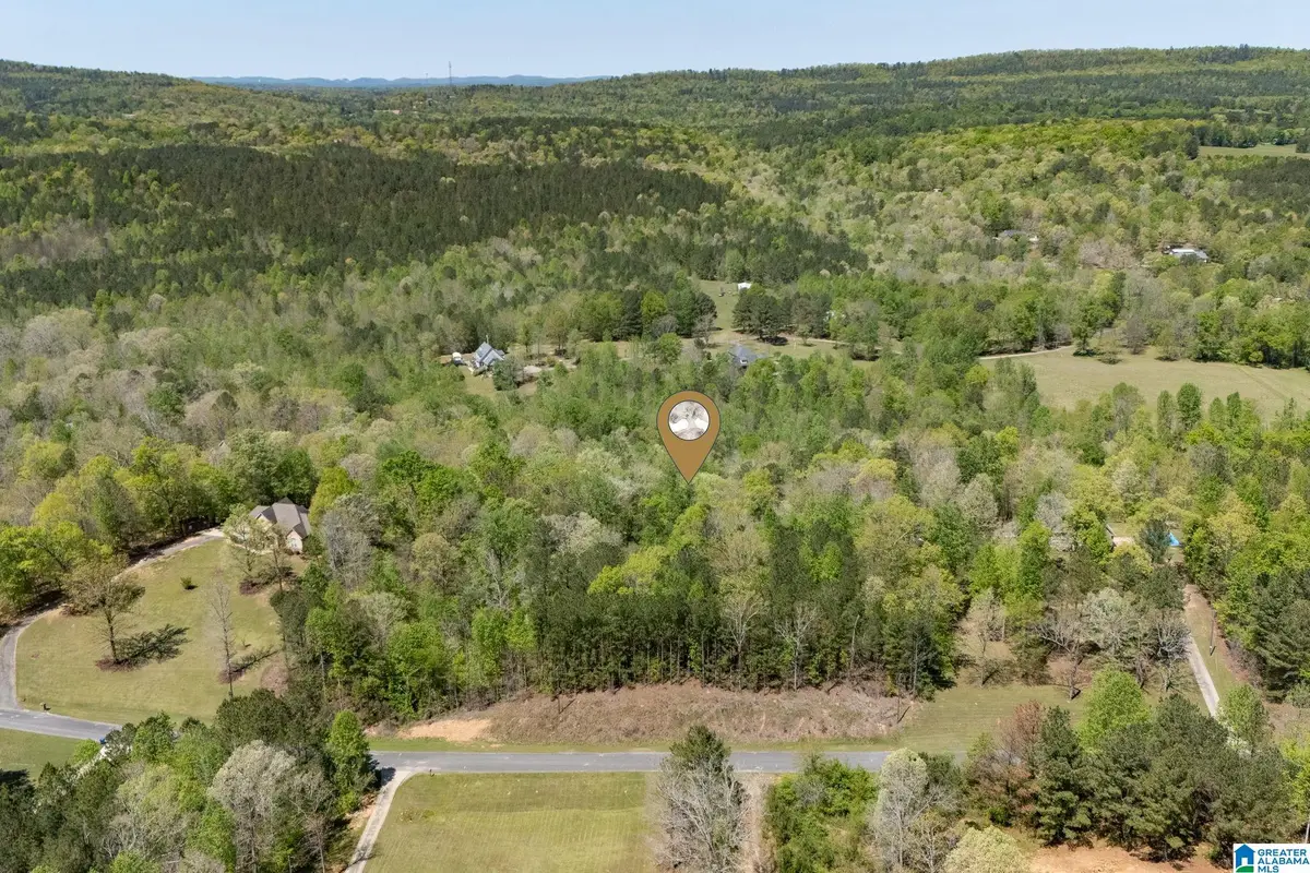 620 MOUNTAIN CREST DRIVE, Pell City, AL 35125 - #1