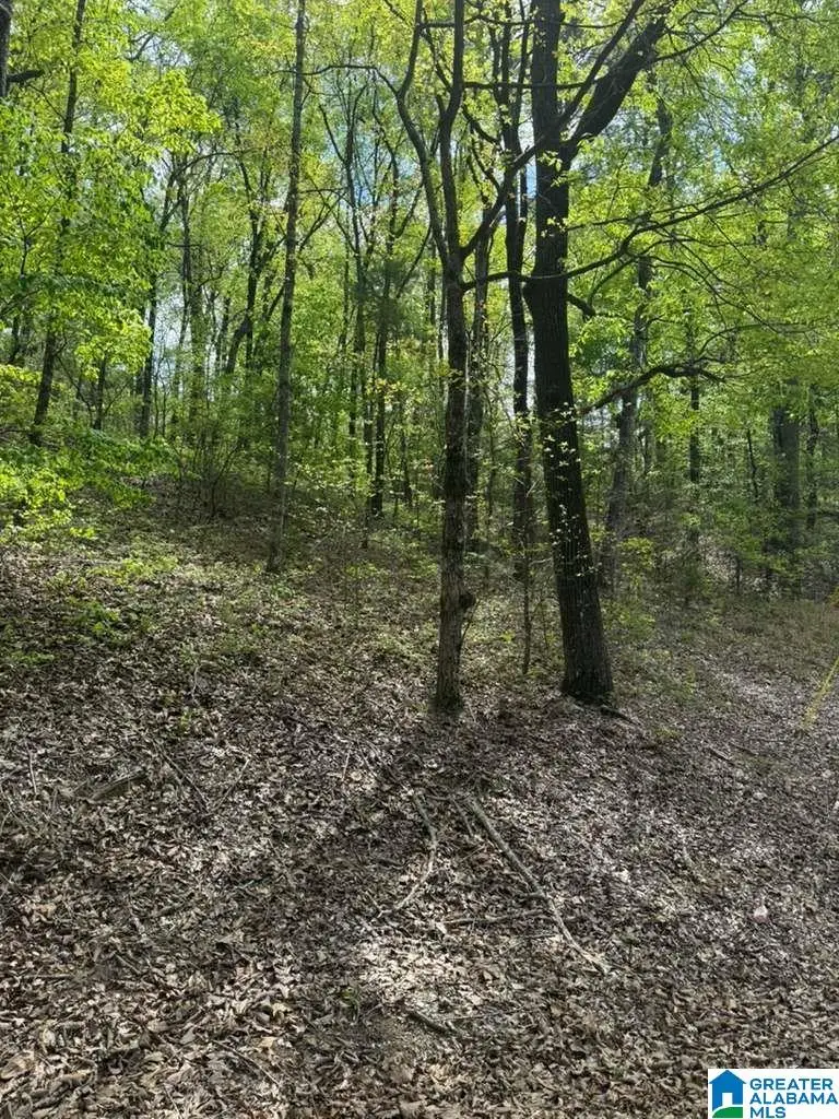 VICKI DRIVE, Lake View, AL 35111 - #2