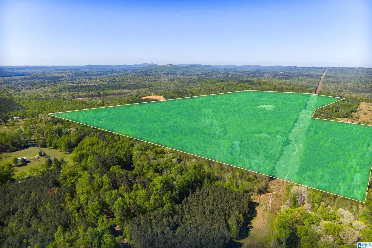 0 SHAW ROAD, Pell City, AL 35128 - #1