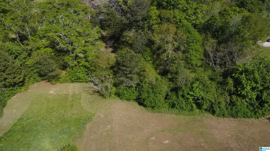 327.5 2ND STREET SW, Wedowee, AL 36278 - #2