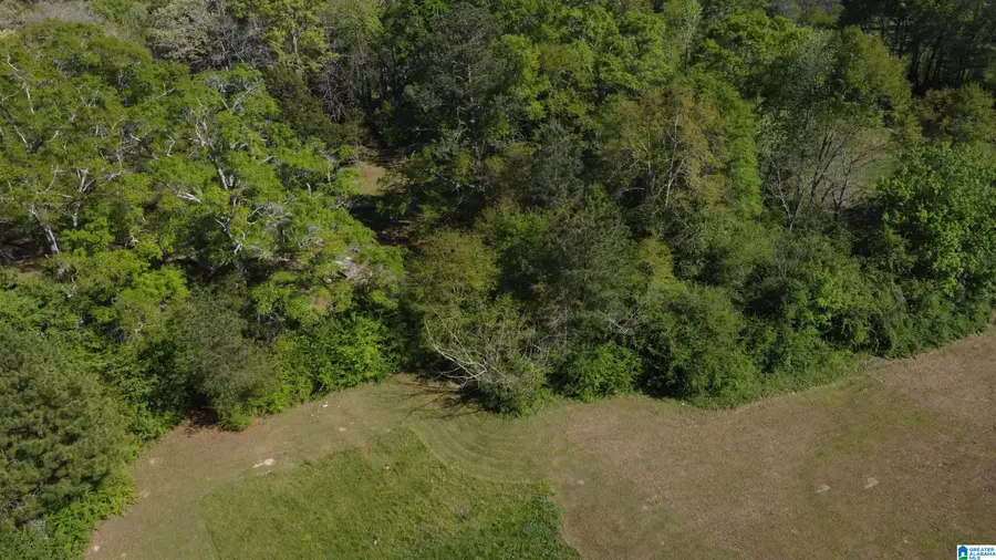327.5 2ND STREET SW, Wedowee, AL 36278 - #3