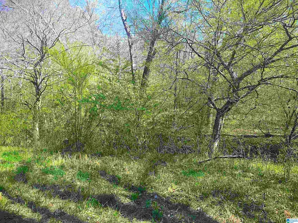 0 FOX RUN, Oneonta, AL 35121