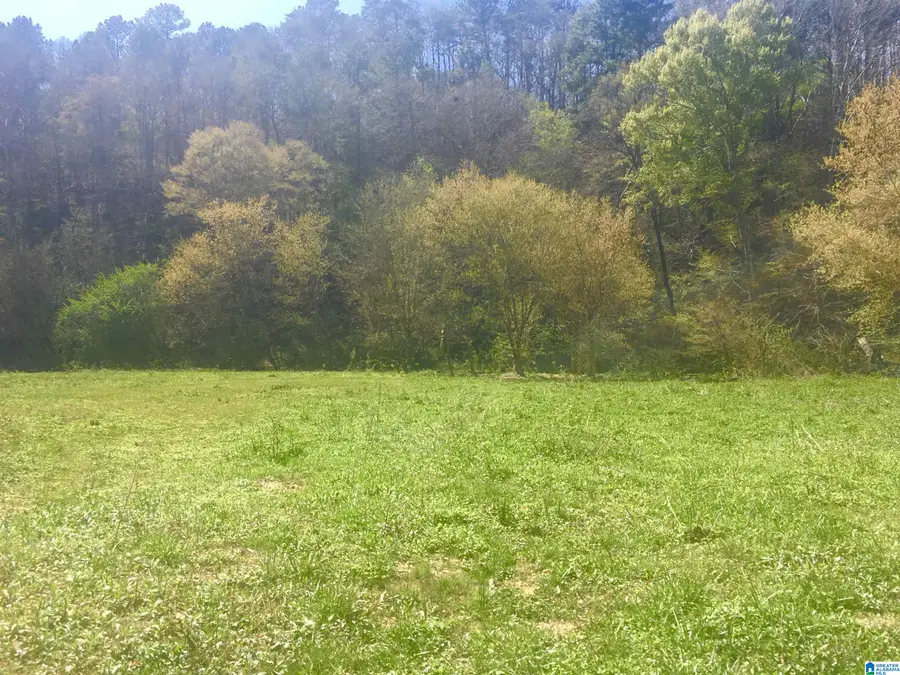 0 FOX RUN, Oneonta, AL 35121 - #3