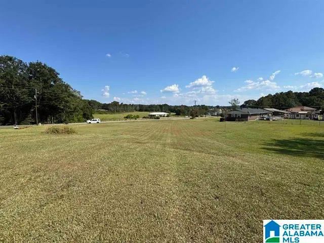 LEE ROAD, Pell City, AL 35128 - #1
