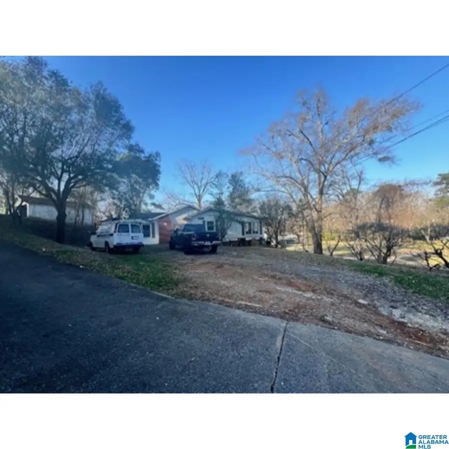 113a WESTERN AVENUE, Sylacauga, AL 35150 - #3