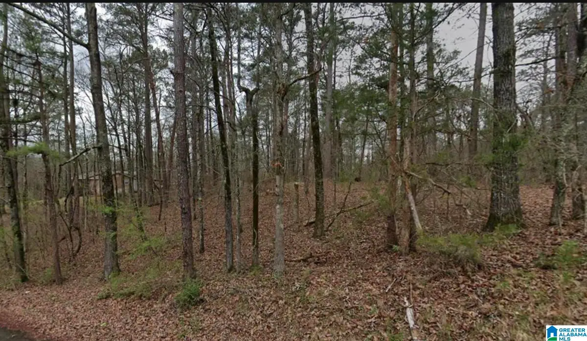 7410 DEWEY GOODWIN ROAD, Pinson, AL 35126 - #1