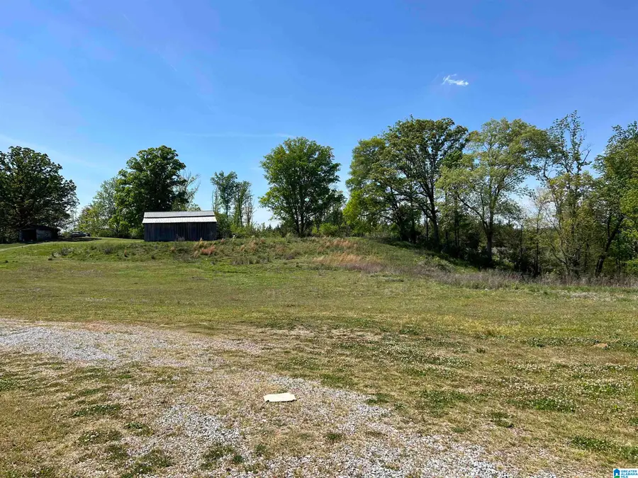 200 FULTON ROAD, Columbiana, AL 35051 - #2