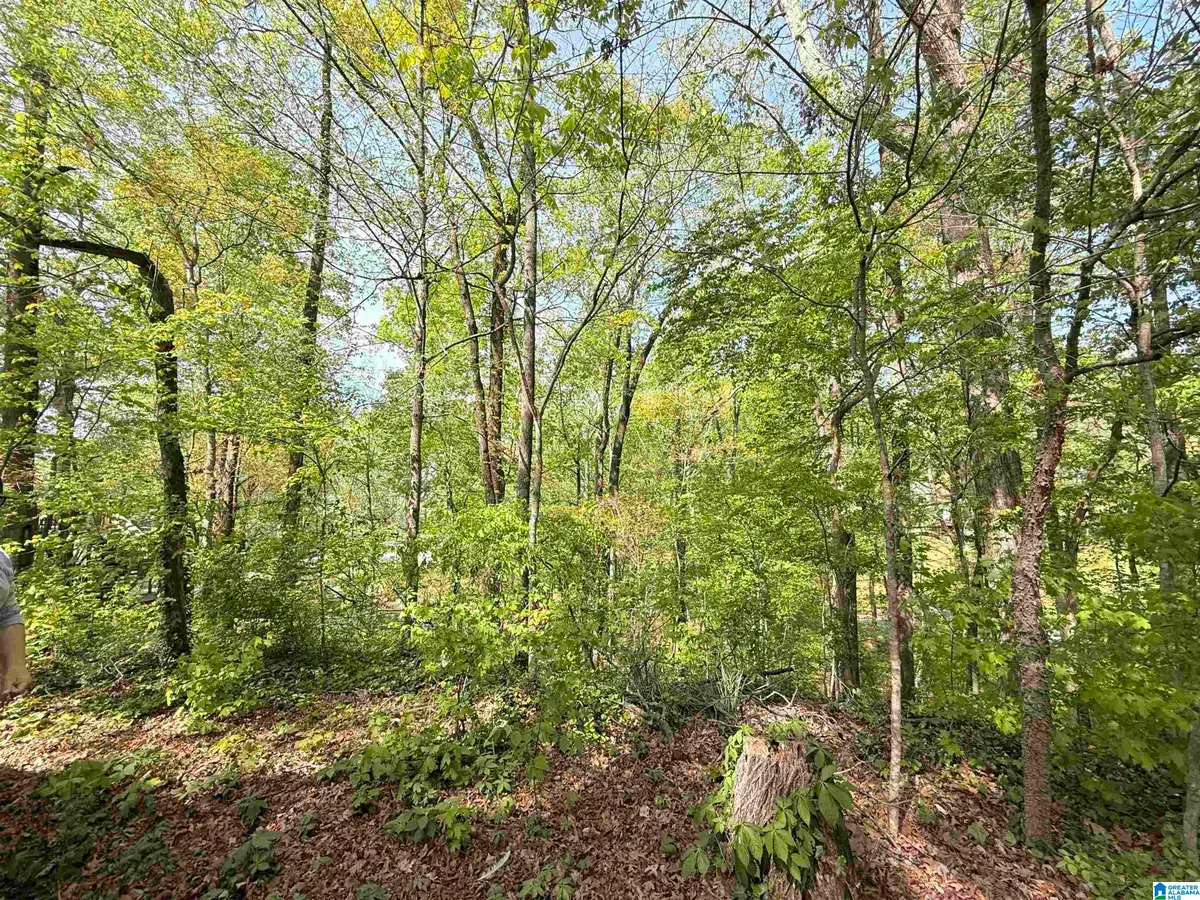 4 DOGWOOD ROAD, Athens, AL 35611 - #1