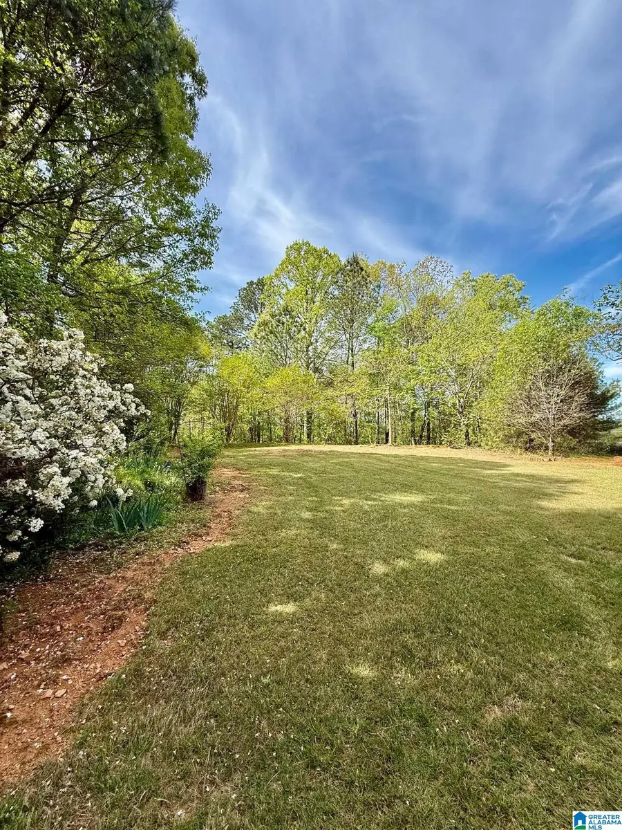 325 S HAVEN CIRCLE, Odenville, AL 35120 - #2