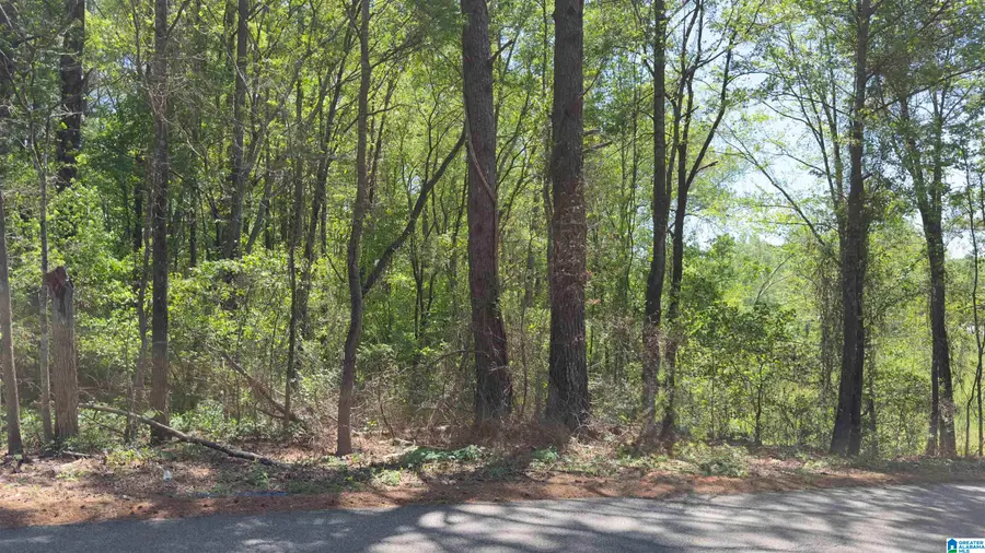 HERITAGE DRIVE, McCalla, AL 35111 - #3
