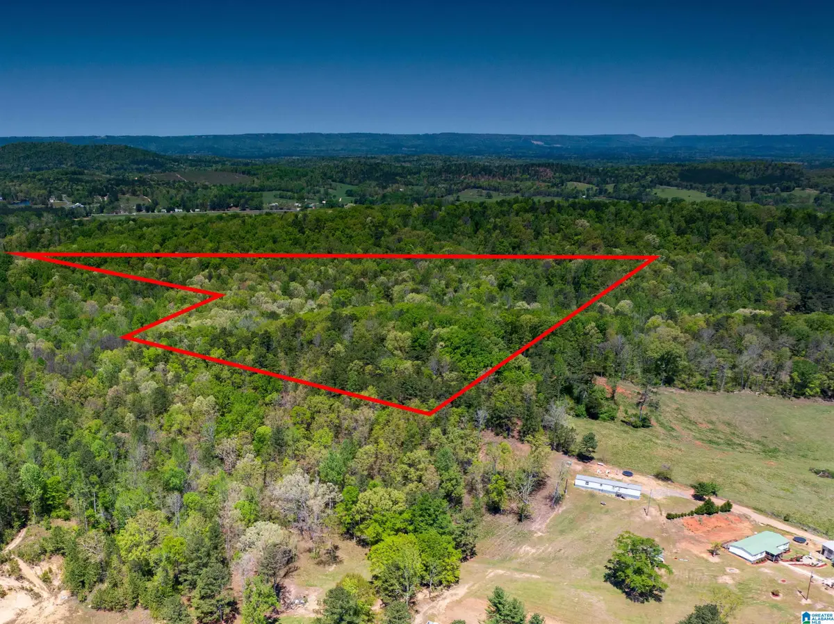 0 PIKE HILL ROAD, Ashville, AL 35953 - #1
