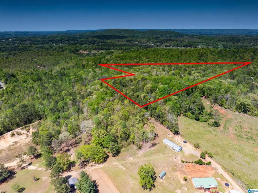 0 PIKE HILL ROAD, Ashville, AL 35953 - #2