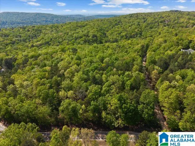 8810 PINE MOUNTAIN ROAD, Pinson, AL 35126 - #1