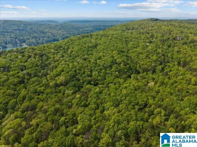 8810 PINE MOUNTAIN ROAD, Pinson, AL 35126 - #2