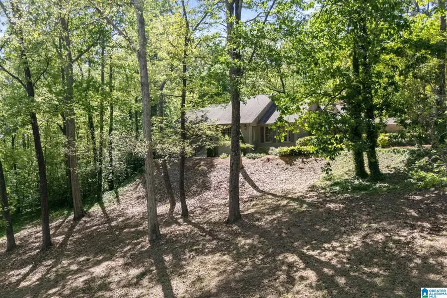 3541 SPRING VALLEY COURT, Mountain Brook, AL 35223 - #2