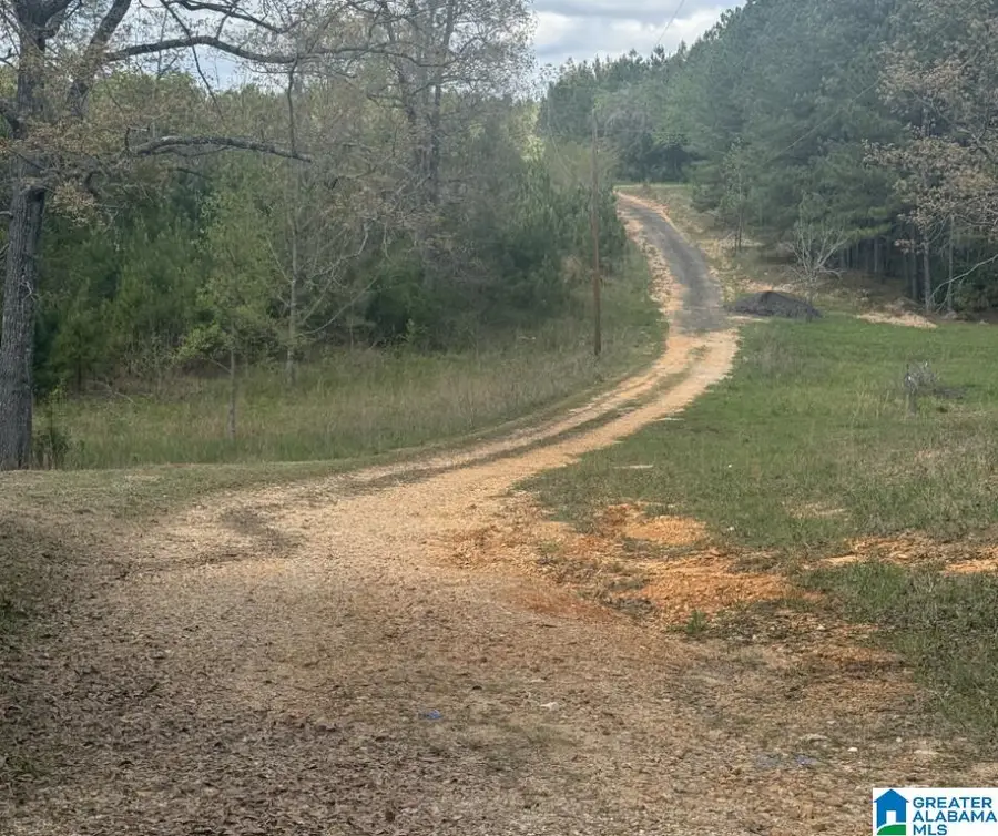 126 LONE STAR LANE, West Blocton, AL 35184 - #2