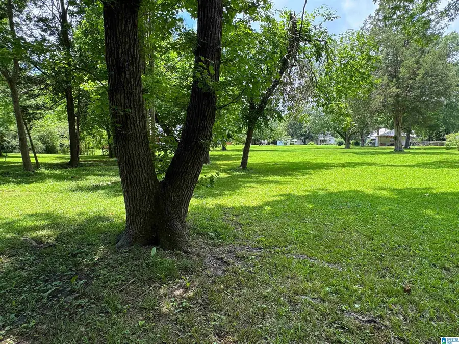 309 N MAIN STREET, Columbiana, AL 35051 - #3