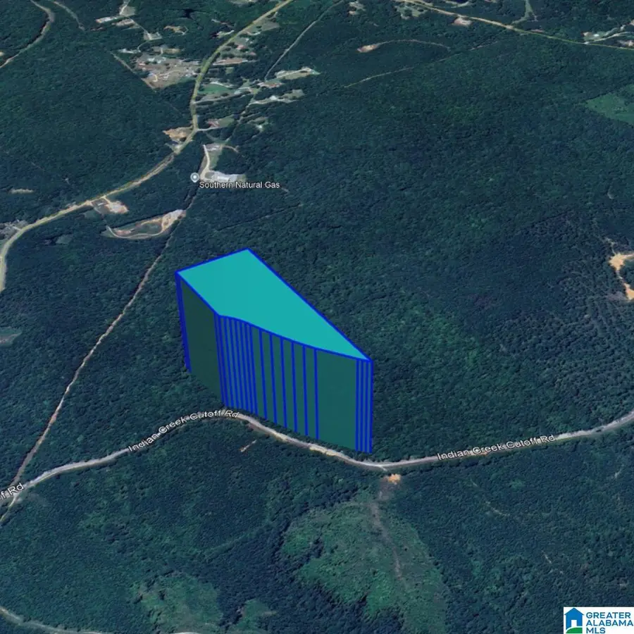 001 INDIAN CREEK CUTOFF ROAD, Duncanville, AL 35456 - #2