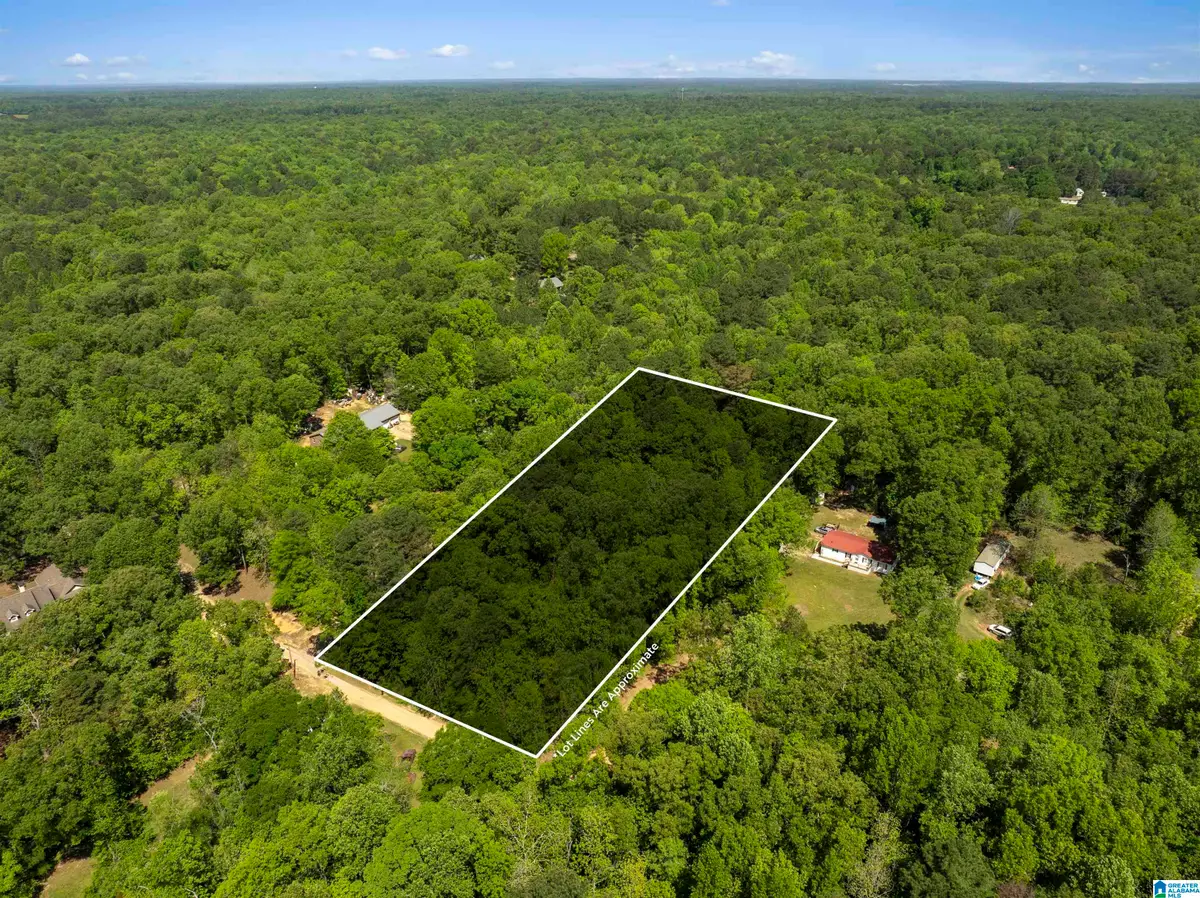 2 acres PLEASANT TRAIL, Jasper, AL 35504 - #1