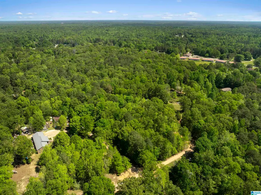 2 acres PLEASANT TRAIL, Jasper, AL 35504 - #2