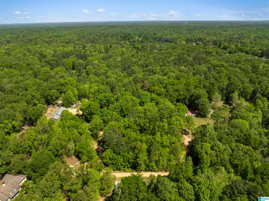 2 acres PLEASANT TRAIL, Jasper, AL 35504 - #3