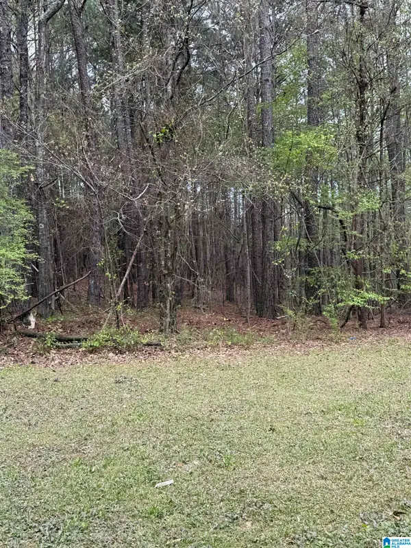 0 BRIDGE CREEK DRIVE, Ragland, AL 35131