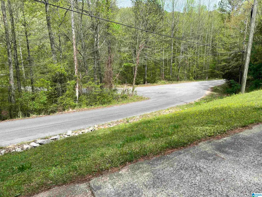 1158 ARMSTRONG ROAD, Remlap, AL 35133 - #3