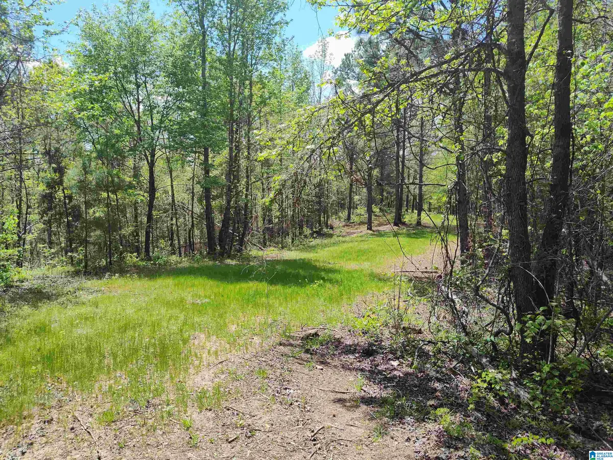 0 LITTLE TOM ROAD, Rockford, AL 35136 - #1