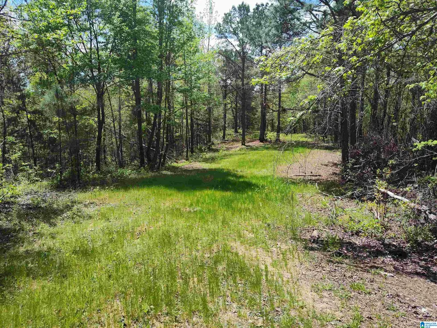 0 LITTLE TOM ROAD, Rockford, AL 35136 - #3