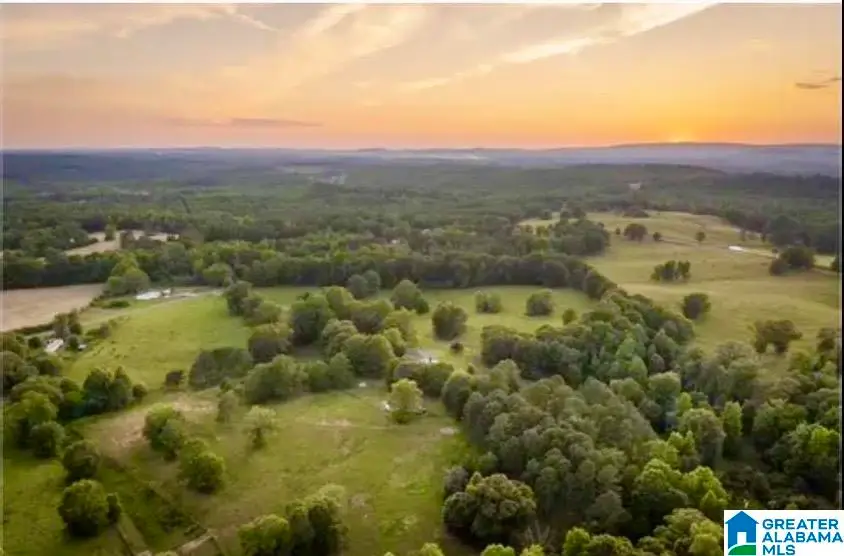 1749 MCCOLLUM CHURCH ROAD, Lineville, AL 36266 - #1