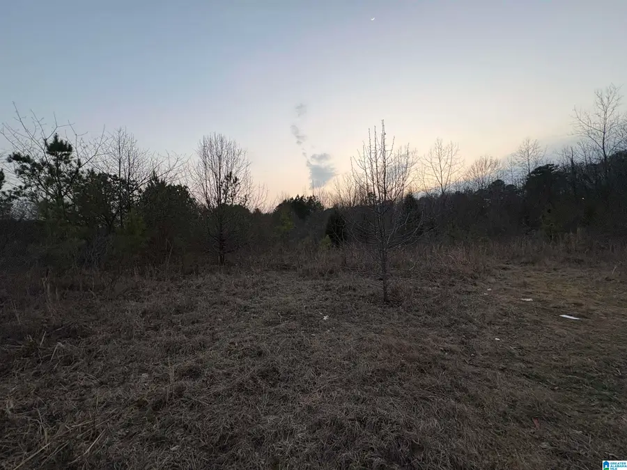 0 4TH AVENUE SW, Bessemer, AL 35022 - #2
