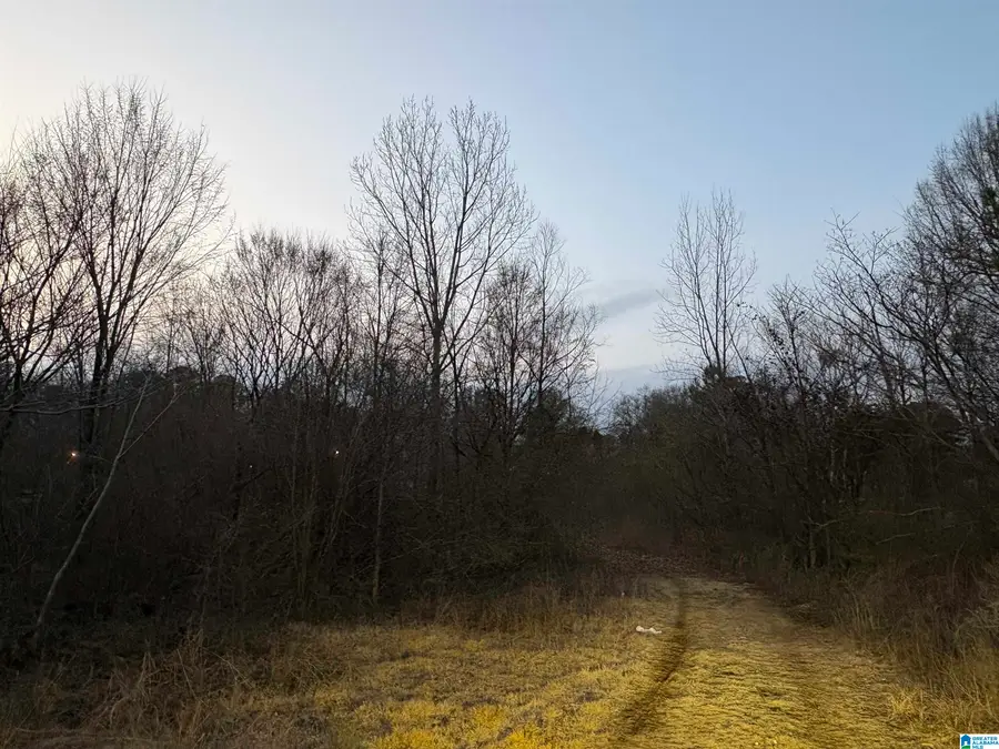 0 4TH AVENUE SW, Bessemer, AL 35022 - #3