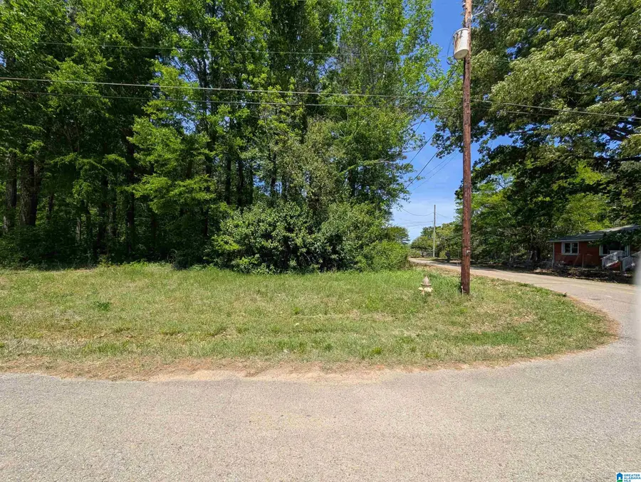 0 MCKINNEY STREET, Gadsden, AL 35904 - #2