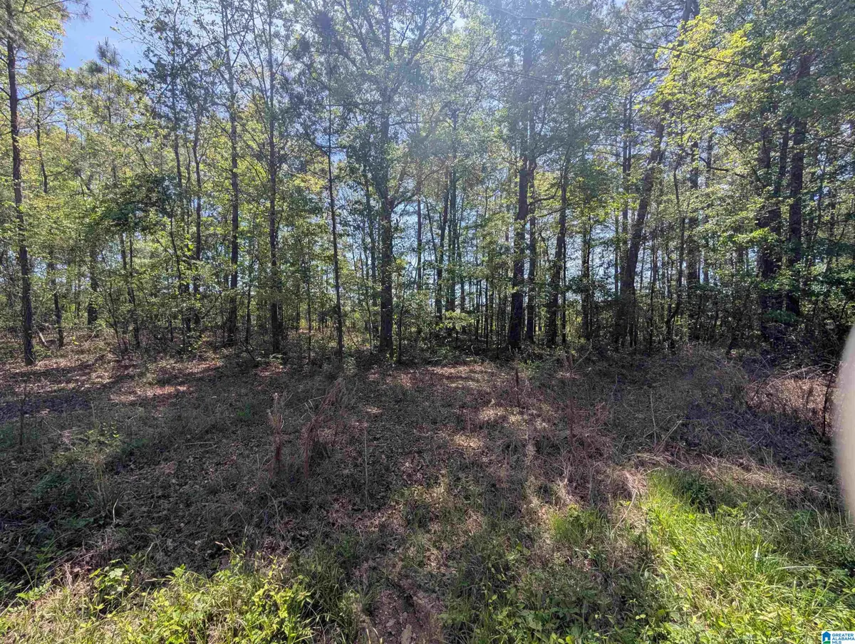 0 PARADISE AVENUE, Gadsden, AL 35903 - #1