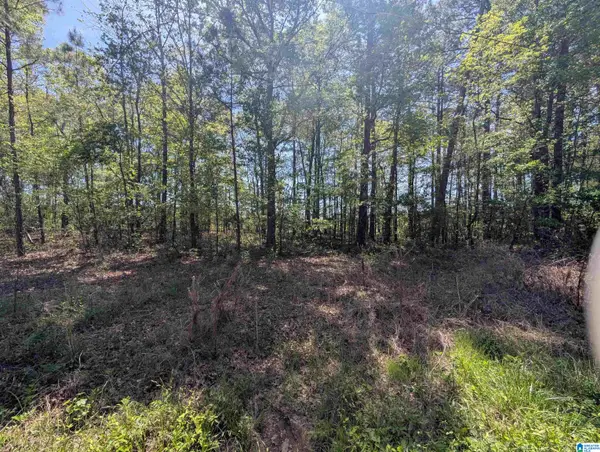0 PARADISE AVENUE, Gadsden, AL 35903
