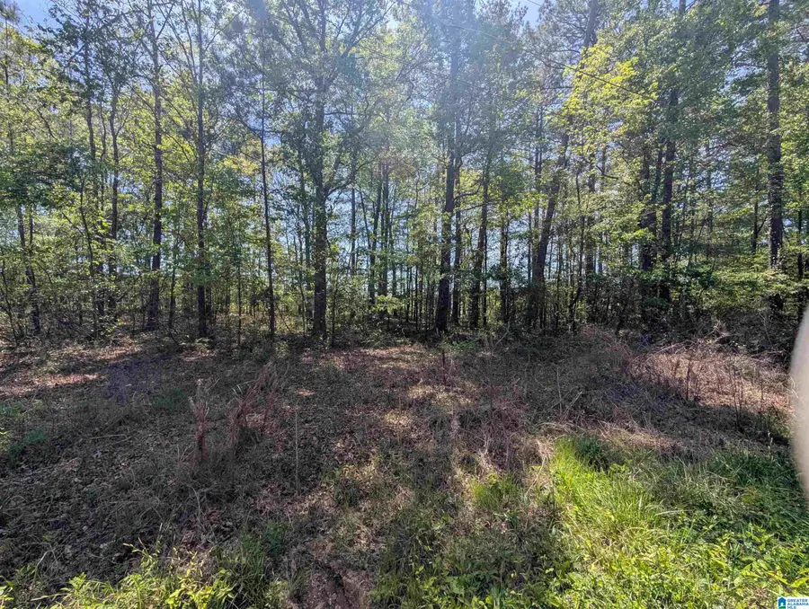 0 PARADISE AVENUE, Gadsden, AL 35903 - #2