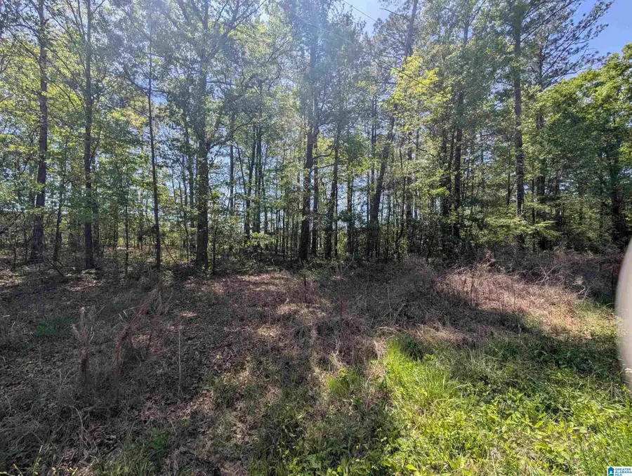 0 PARADISE AVENUE, Gadsden, AL 35903 - #3