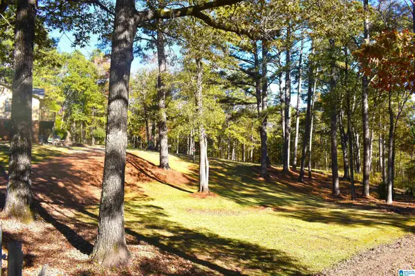 90 CHALEY SPRINGS ROAD, Warrior, AL 35180