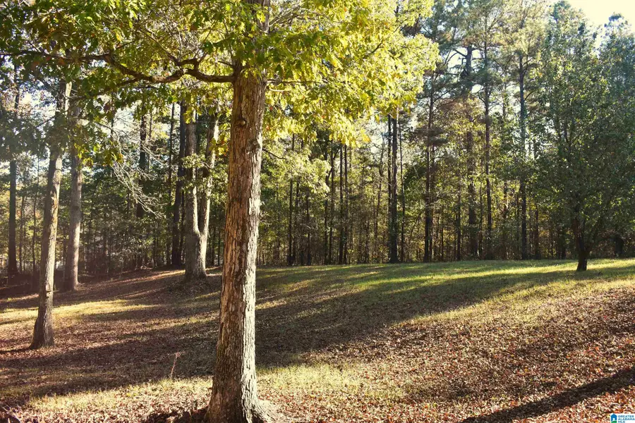 90 CHALEY SPRINGS ROAD, Warrior, AL 35180 - #2