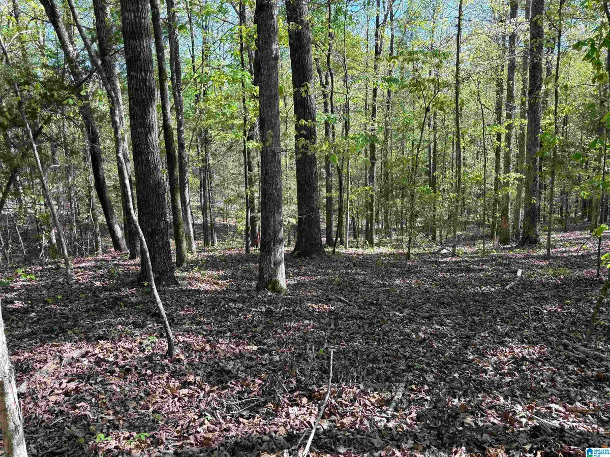 0 HICKORY HILLS DRIVE, Centreville, AL 35042 - #1