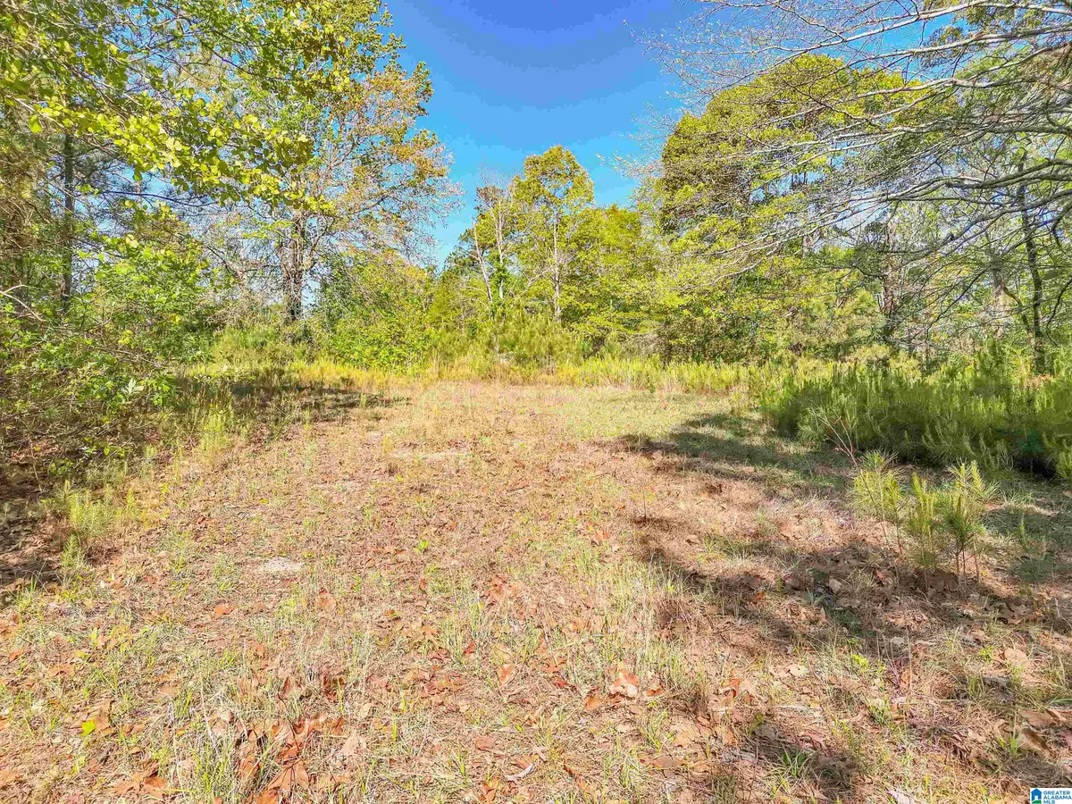 2755 COUNTY ROAD 53, Billingsley, AL 36006 - #1